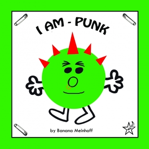 Mr Punk
